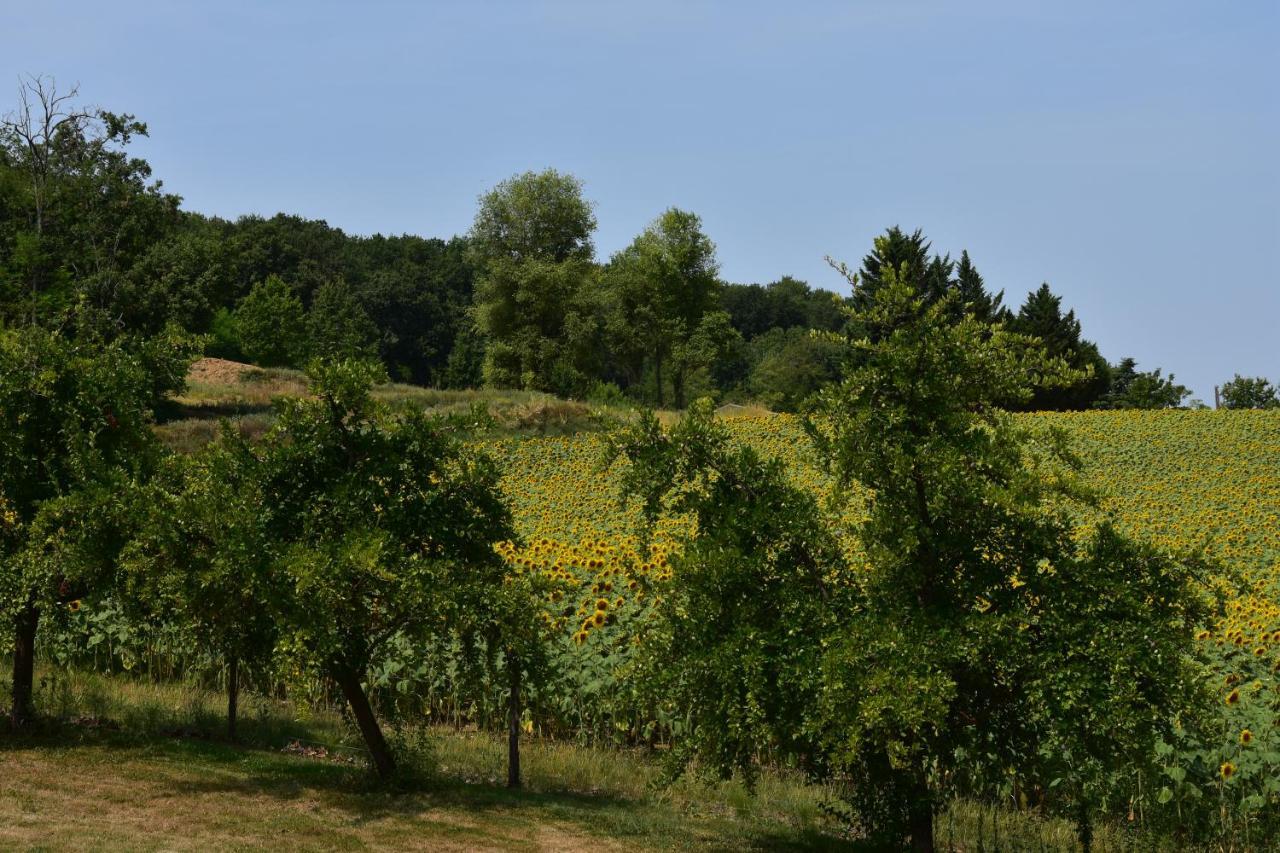 Domaine De Calbiac Acomodação com café da manhã Dolmayrac Exterior foto