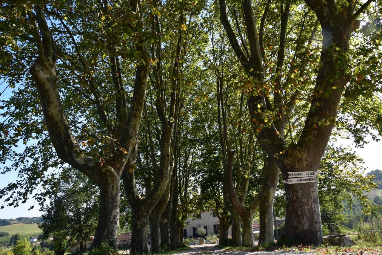 Domaine De Calbiac Acomodação com café da manhã Dolmayrac Exterior foto