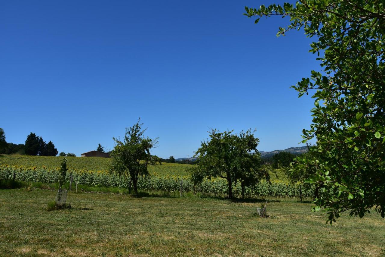 Domaine De Calbiac Acomodação com café da manhã Dolmayrac Exterior foto